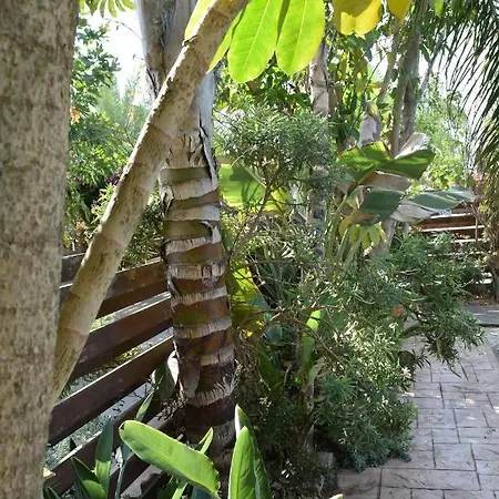 Villa Thaliana Palm Retreat