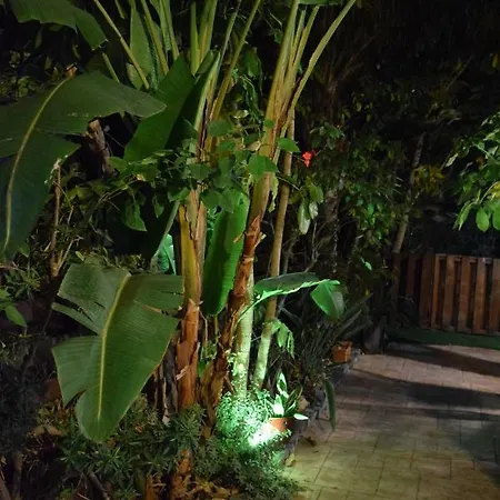 Thaliana Palm Retreat *
