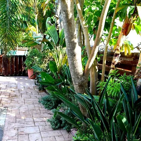 Villa Thaliana Palm Retreat *
