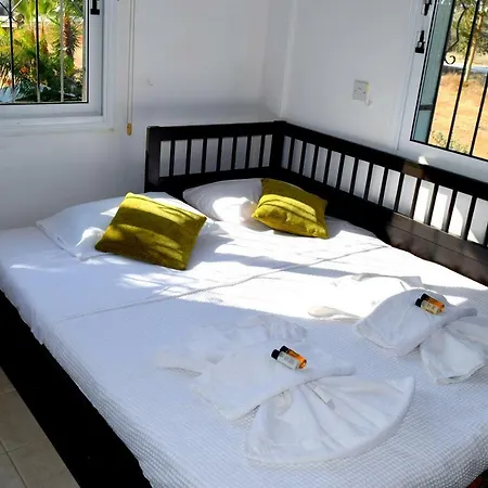 Villa Thaliana Palm Retreat