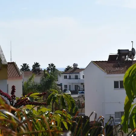 Thaliana Palm Retreat *