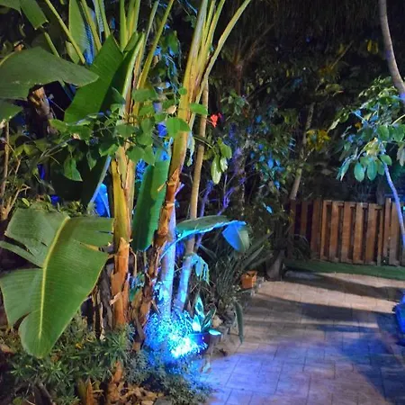 Βίλα Thaliana Palm Retreat