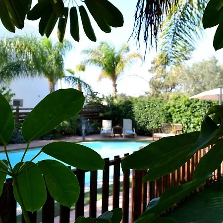 Thaliana Palm Retreat Αγία Νάπα